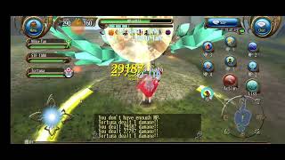 Toram Online STR INT Physical StaffScroll vs Kuzto Ultimate [upl. by Calli]