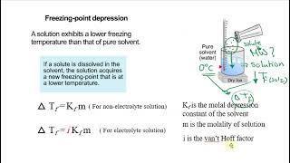 MW of a solute from the depression in freezing point of the solvent [upl. by Artemisa]