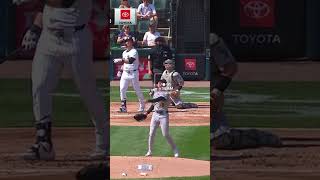 Gavin Sheets sends one outta here homerun mlb highlights [upl. by Raychel963]