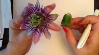 Kids Can Draw Passion Flower [upl. by Eoin]