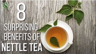 8 Surprising Benefits Of Nettle Tea  Organic Facts [upl. by Finlay382]