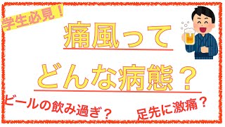 教科書をわかりやすく！「痛風ってどんな病態？」 [upl. by Melquist787]