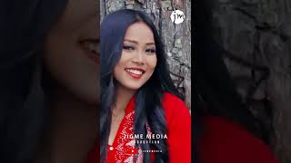 Temal Namsari tamangselosong fullvedio onyoutube jigmemedia fbreels [upl. by Eliath]