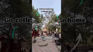 Ye kya life cycle h collegelife shorts fypシ゚viral funny relatable collegelife [upl. by Ayirp691]