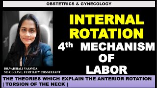 Internal Rotation of the Fetus During Labour  DrVaishali Vasavda [upl. by Miehar]