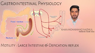 Motility  Large Intestine amp Defication Reflex  GASTROINTESTINAL PHYSIOLOGY  বাংলা [upl. by Guild]