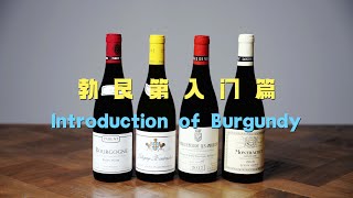 勃艮第产区入门介绍 Introduction of Burgundy [upl. by Hardden913]