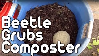 Beetle grub composter [upl. by Aneertak]