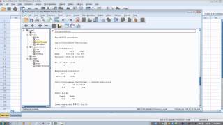 How to Use SPSSLins Concordance Correlation Coefficient [upl. by Tatianna]