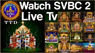 Live Sri Padmavati Ammavari Kalyanotsavam  Tiruchanoor  SVBC2 Tamil Live Streaming  SVBC TTD [upl. by Schulman]