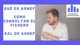 Aprende qué es Asnef cómo se consulta y cómo salir del fichero de morosidad [upl. by Aven831]