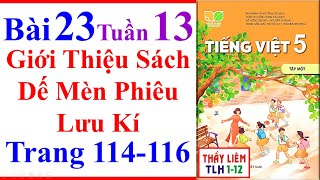 Tiếng Việt Lớp 5 Bài 23 Tuần 13 Giới Thiệu Sách Dế Mèn Phiêu Lưu Kí Trang 114  116 Kết Nối Tri Thức [upl. by Saimerej602]