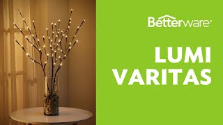 Lumi Varitas Betterware [upl. by Zobkiw82]