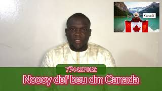 Comment se rendre au Canada Version wolof CoachYADD [upl. by Tuhn737]