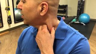 How to selftreat sternocleidomastoid muscle trigger points  trigger point release [upl. by Ycnaf]