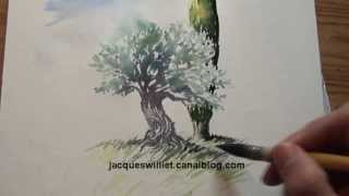 Démo Aquarelle olivier et cyprès watercolor tutorial [upl. by Dyann38]