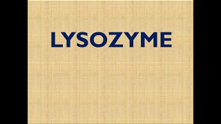 LYSOZYME [upl. by Gable]