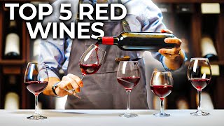 The Best Red Wines for Beginners [upl. by Eentirb950]