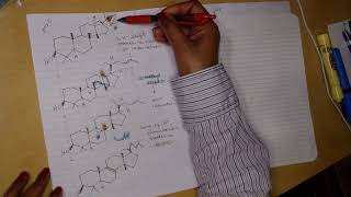 Lanosterol Synthesis [upl. by Norine]