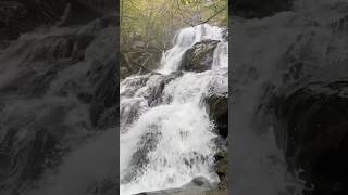 Dark Hollow Falls from Shenandoah National Park in Virginia 1022024 waterfall shenandoah shorts [upl. by Yllut]