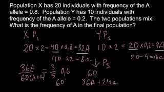 How migration affect allele frequencies [upl. by Ahseinek]