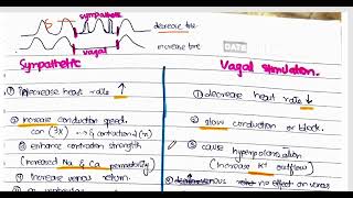 Conducting System of the heart  Part 2 [upl. by Krauss]