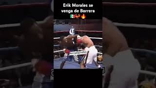 boxeo boxing viralvideo reels mexico revenge morales barrera knockout [upl. by Cirda176]