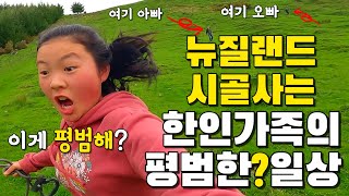 이민생활 쉽지 않습니다 그래도 살만합니다 I KOREAN FAMILY LIVING IN NZ COUNTRYSIDE I NOT AN EASY LIFE [upl. by Bakemeier950]