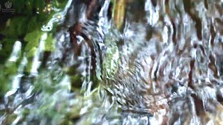 BABBLING BROOK  Water Sounds  Nature Sounds  Sleep Meditation  Calming Music  ASMR  асмр [upl. by Anitnas547]