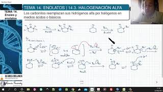 TEMA 14 ENOLATOS  143 HALOGENACIÓN DE LA POSICIÓN ALFA [upl. by Aniles563]