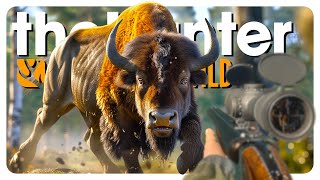 Hunting EVERY ANIMAL in Hirschfelden 60 min challenge  theHunter Call of the Wild [upl. by Ielak154]