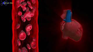 How The Blood Pressure Mechanism Works systolic and diastolic blood pressure bp [upl. by Nnyleuqcaj901]