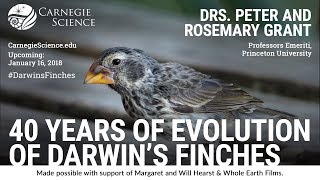 40 Years of Evolution of Darwins Finches  Drs Peter and Rosemary Grant [upl. by Iz]