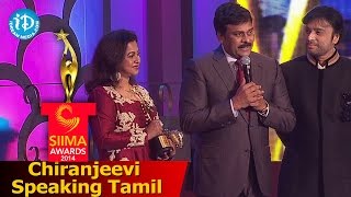 Chiranjeevi Speaking Tamil  Life Time Achievement Award K Bhagyaraj  Siima 2014 [upl. by Dibri]