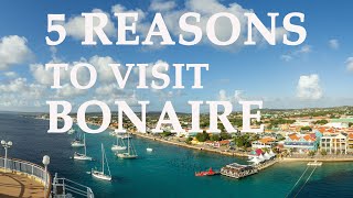 5 Reasons to Visit BONAIRE [upl. by Assilak549]