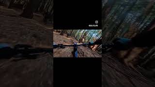 Flow Trail Fun  Scott Patron ERide 920 emtb mtb mountainbikeaction [upl. by Josiah117]