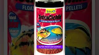 Top Nutrition for Cichlids TetraCichlid Flakes amp Pellets 🐠🍽️ fishmedicinefishfood fishcure [upl. by Neveda220]