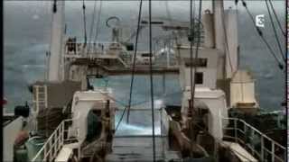 Reportage Thalassa  France 3  MOLECULE quotTempête de sonsquot [upl. by Gilbertina]