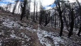 Checking out Grandjean after the Wapiti Fire scorched this landscape [upl. by Boyden]