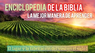 ¿Qué es el lagar ¿Cómo era el vino en tiempos bíblicos Vida en Israel en tiempos de Jesús [upl. by Aline]