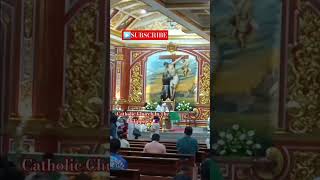 Sunday Mass At St Francis Of Assisi Parish sundaymass sundayservice worship catholicchurch [upl. by Kier]