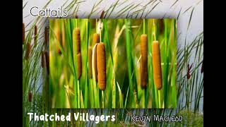 Cattails  Thatched Villagers by Kevin Macleod [upl. by Christoper]