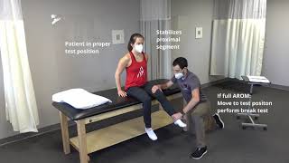 Introduction to Manual Muscle Testing [upl. by Notsae]