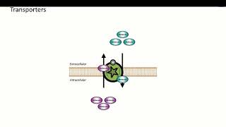 3 Pharmacodynamics Non Receptor Drug Targets [upl. by Yttam]