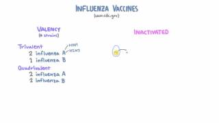 Influenza Vaccines [upl. by Austreng]