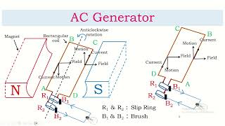 AC Generator [upl. by Anik457]