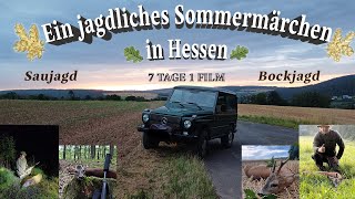 Ein jagdliches Sommermärchen in Hessen  7 JAGDTAGE 1 FILM [upl. by Adena]