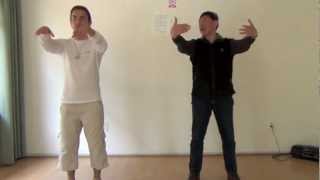 Lin Housheng teaching Taiji Qigong Shibashi Fabrice Piche [upl. by Lorola]