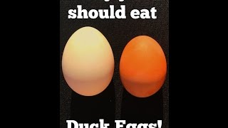 Why You Should Eat Duck Over Chicken Eggs [upl. by Iidnarb268]