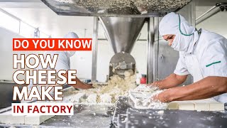 How cheese is Made in Factory  A Heaven for Cheese Lovers [upl. by Fugere]